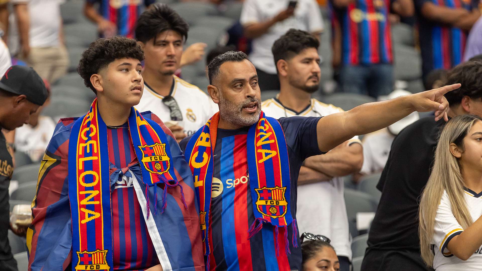 组织提出了 组织提出了