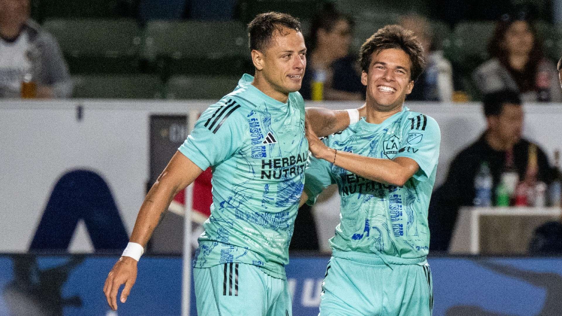 转会窗口的 转会窗口的